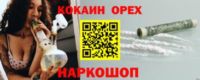 шишки Кингисепп