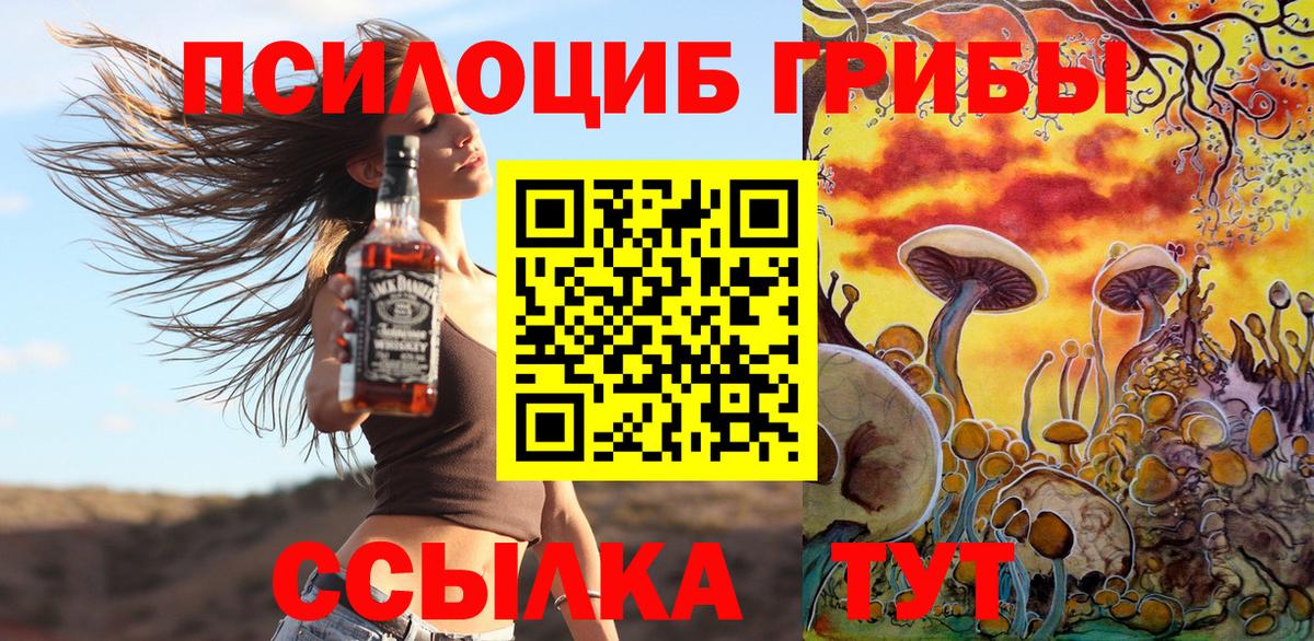 Корсаков  закладка  Вход с VPN  Галлюциногенные грибы Magic Shrooms 